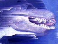 �����̊�